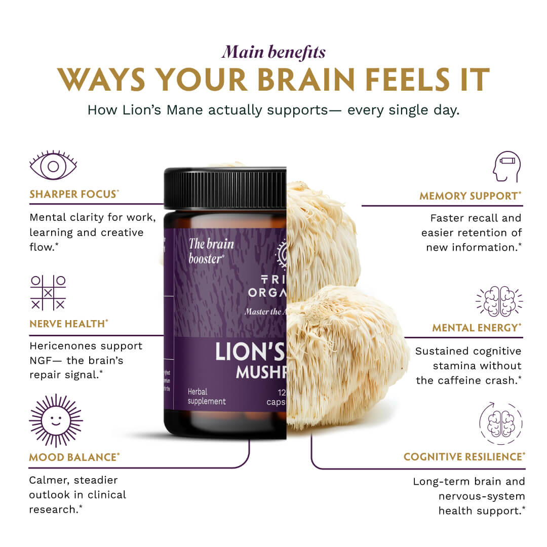 Organic Lion's Mane Mushroom Capsules - TRIBE ORGANICS