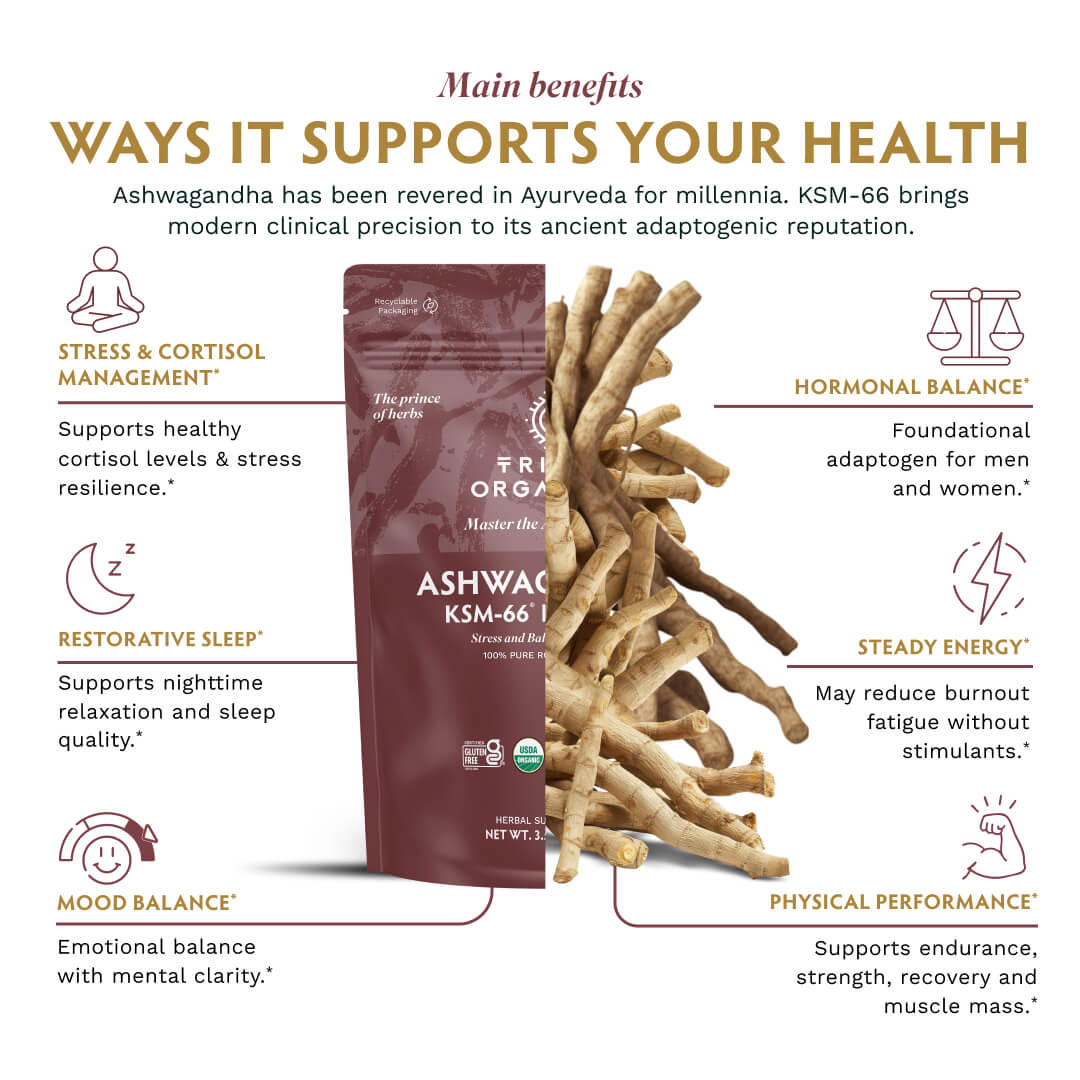 Ashwagandha KSM-66 Powder - TRIBE ORGANICS