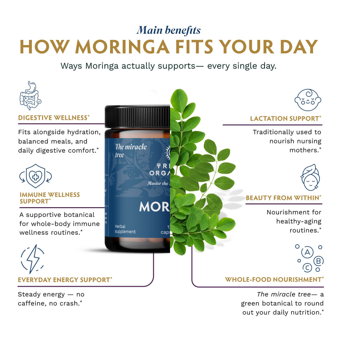 Organic Moringa Supplement Capsules - TRIBE ORGANICS