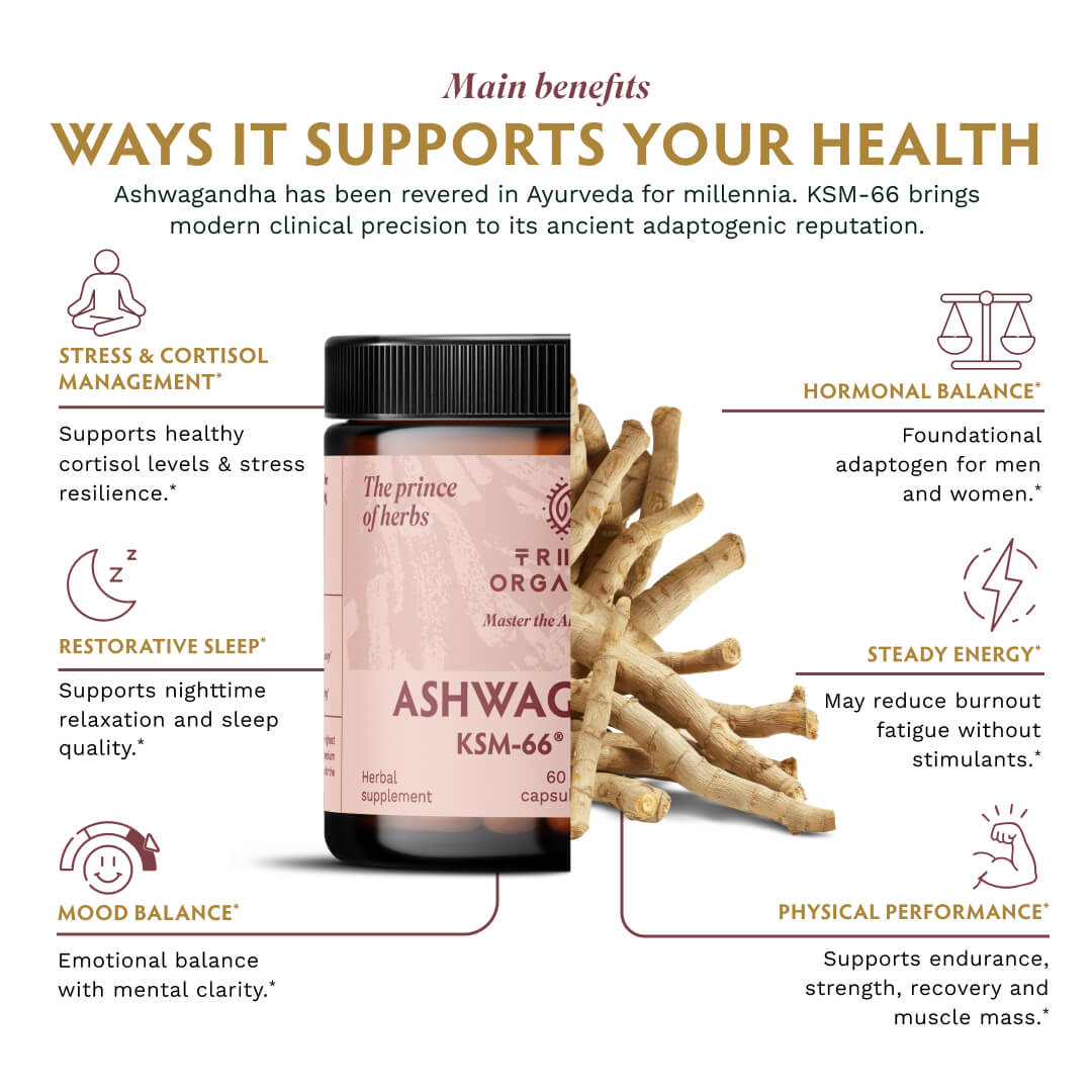 Ashwagandha KSM-66 Vegan - TRIBE ORGANICS