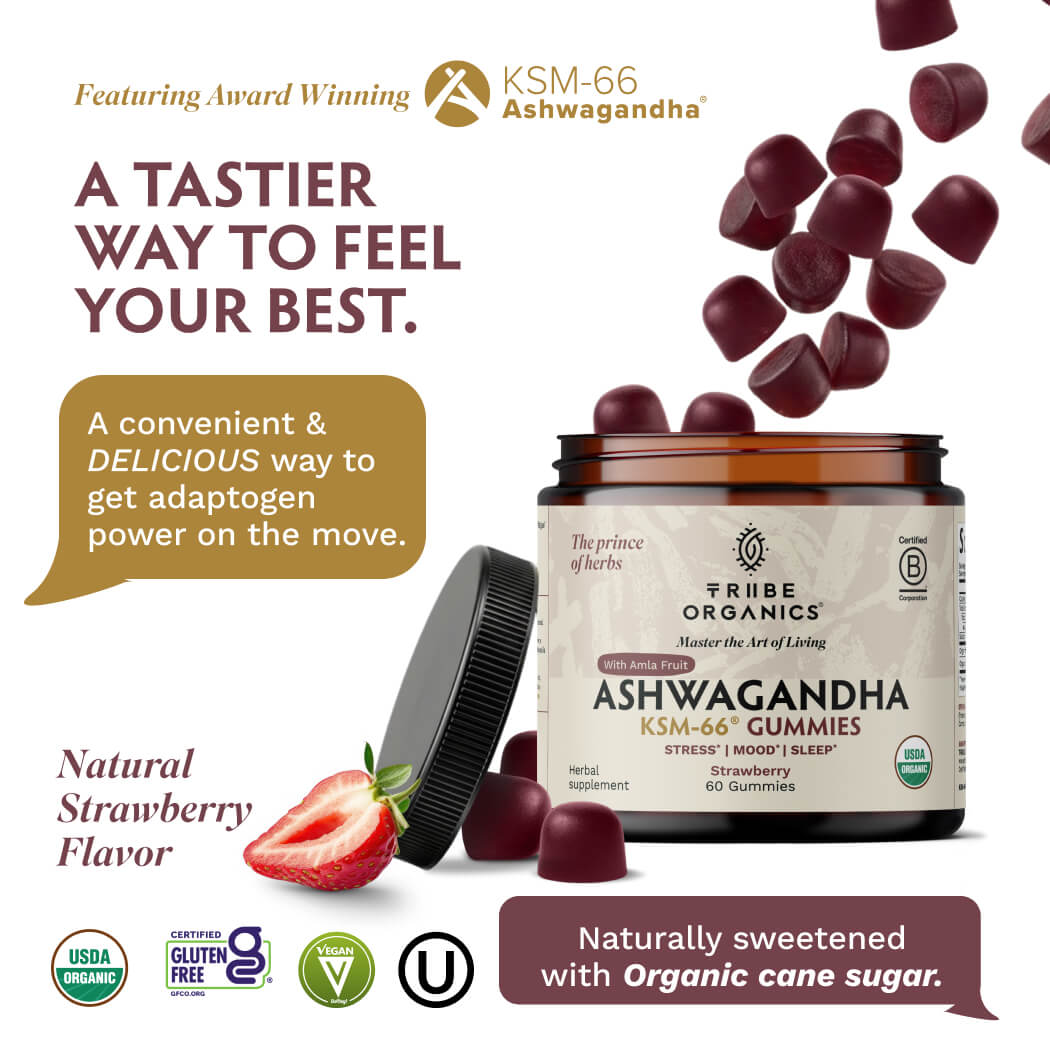 Ashwagandha Gummies | KSM-66 for Stress & Focus* | Tribe Organics - TRIBE ORGANICS