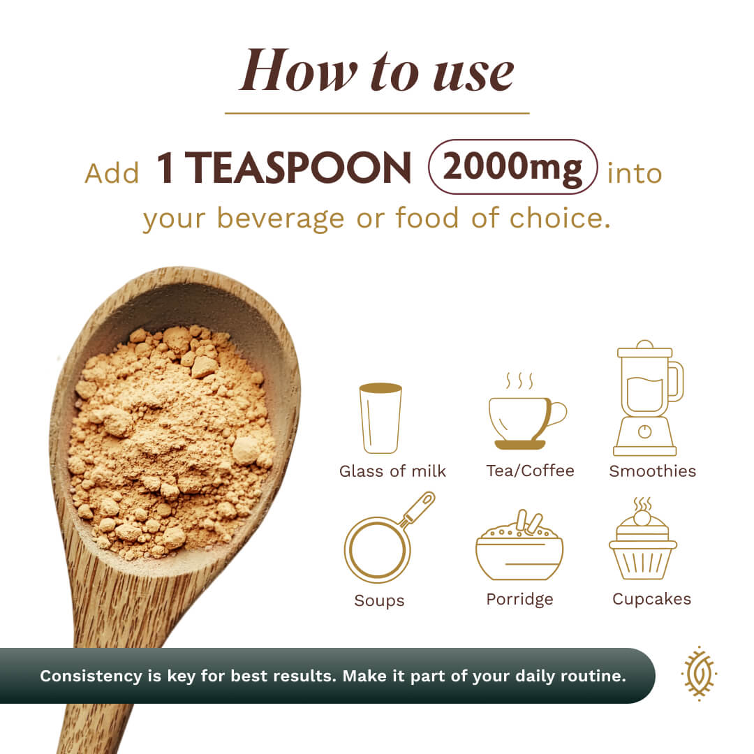 Mushroom Golden Blend Powder 1-Pack 25 - TRIBE ORGANICS