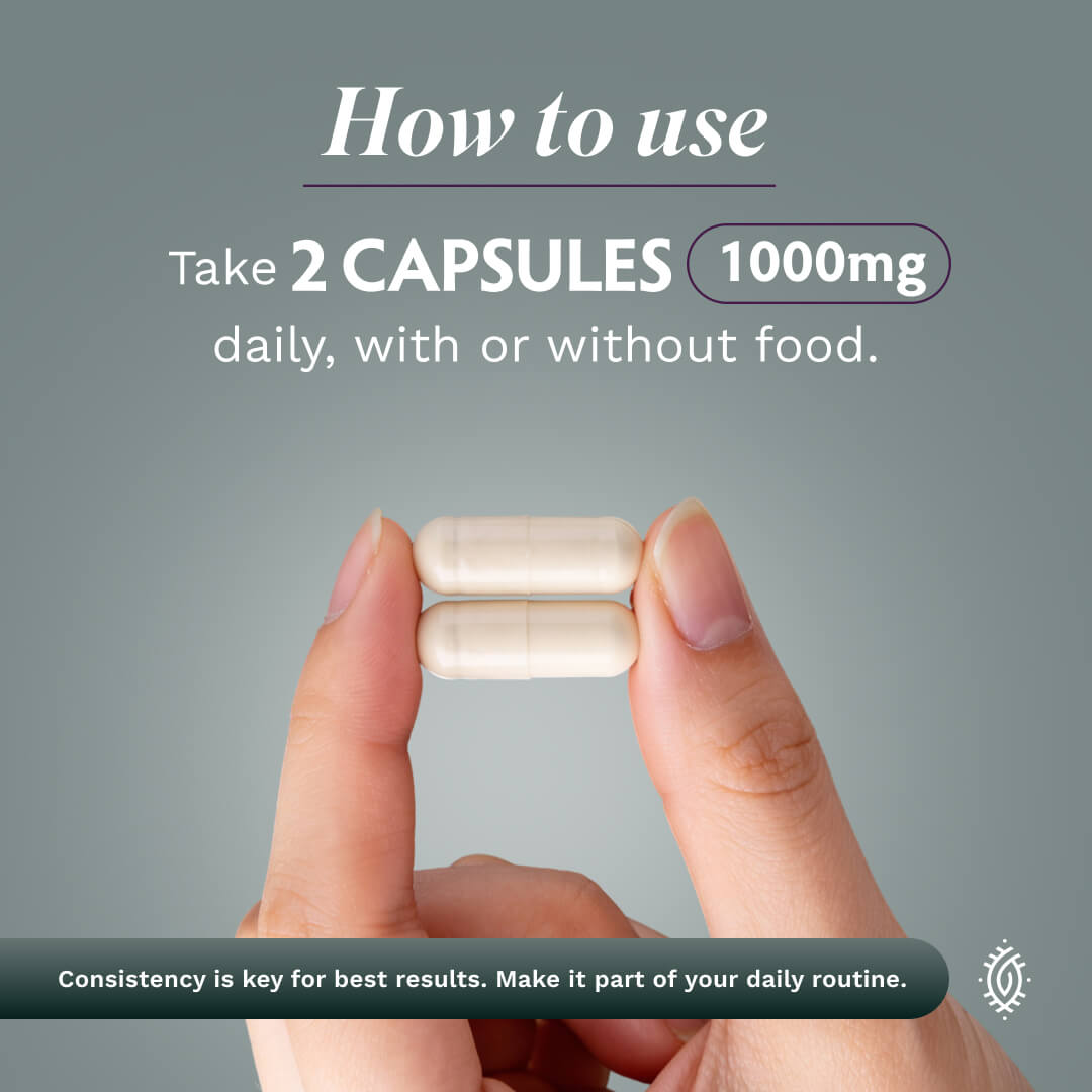 Organic Lion's Mane Mushroom Capsules - TRIBE ORGANICS