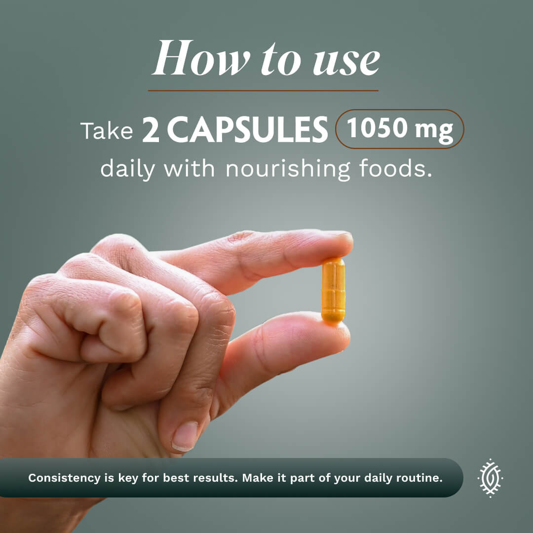 Turmeric Capsules Complex - TRIBE ORGANICS