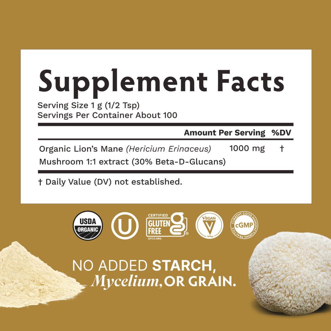 Lion's Mane Extract Powder - TRIBE ORGANICS