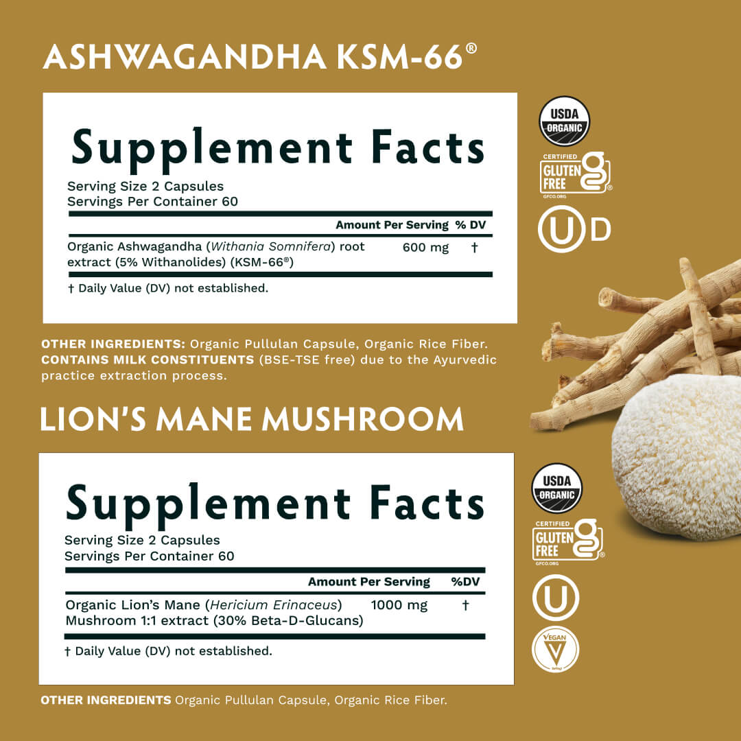 Nootropic Duo - TRIBE ORGANICS