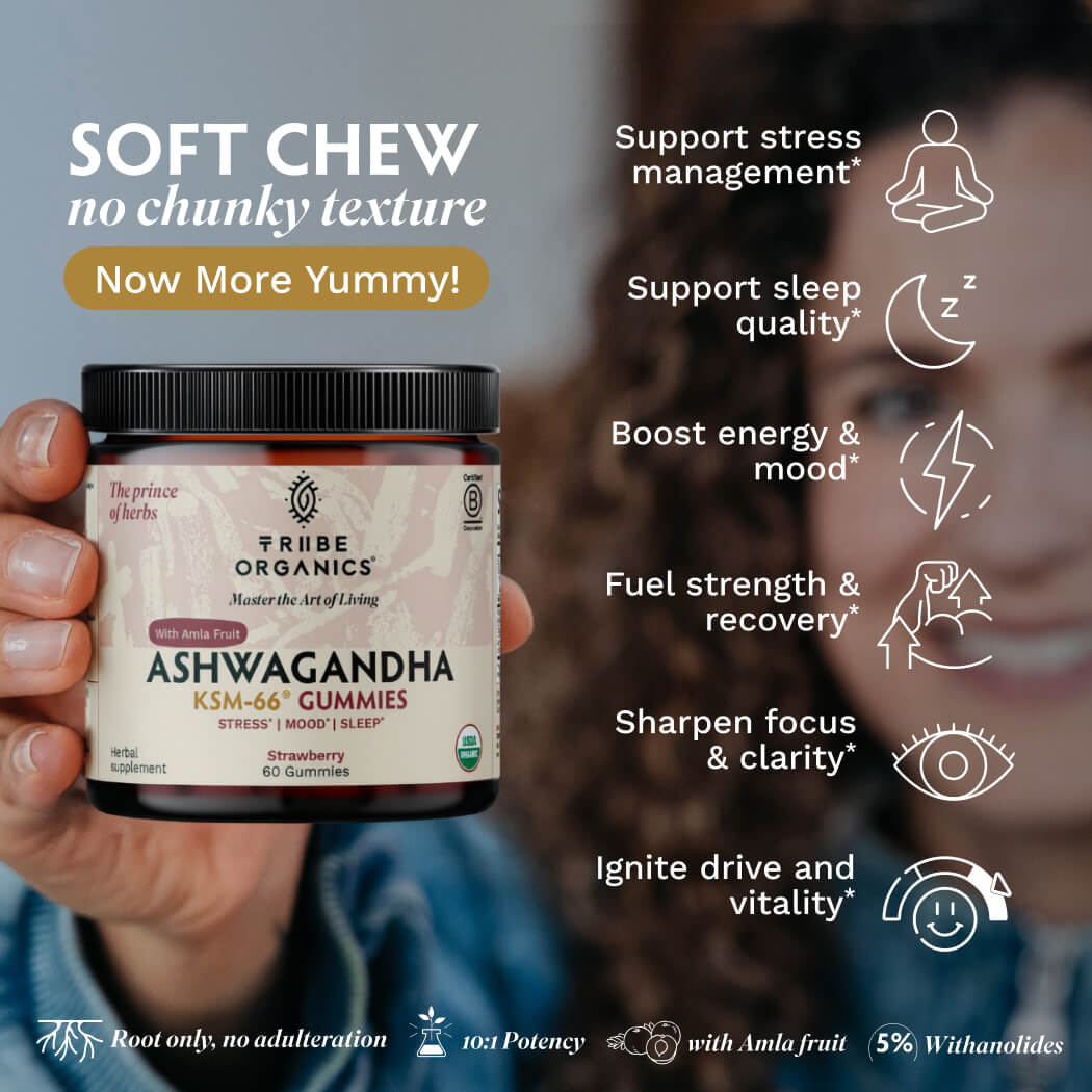 Ashwagandha Gummies | KSM-66 for Stress & Focus* | Tribe Organics - TRIBE ORGANICS