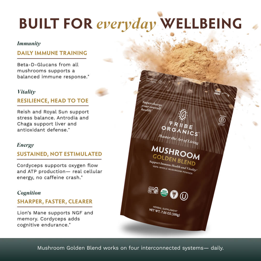 Mushroom Golden Blend Powder 1-Pack 25 - TRIBE ORGANICS