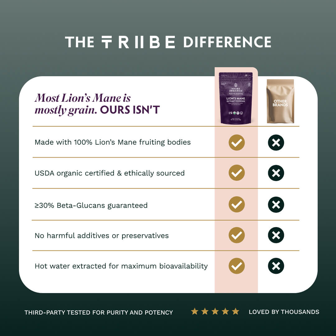 Lion's Mane Extract Powder - TRIBE ORGANICS