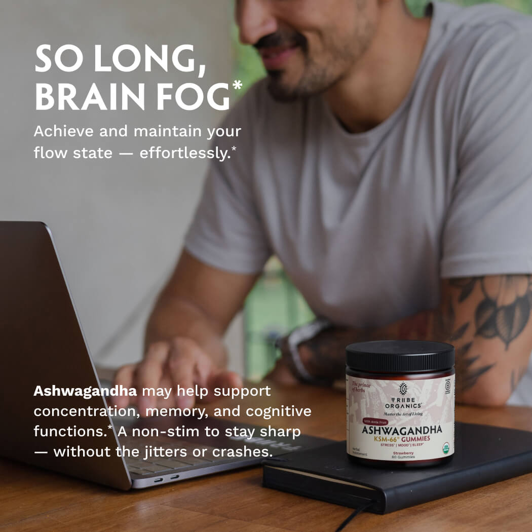 Ashwagandha Gummies | KSM-66 for Stress & Focus* | Tribe Organics - TRIBE ORGANICS