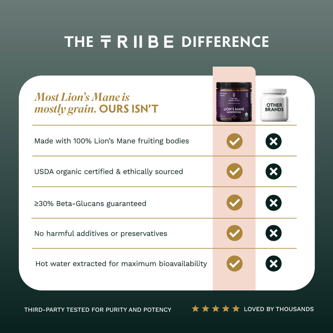 Organic Lion's Mane Mushroom Capsules - TRIBE ORGANICS