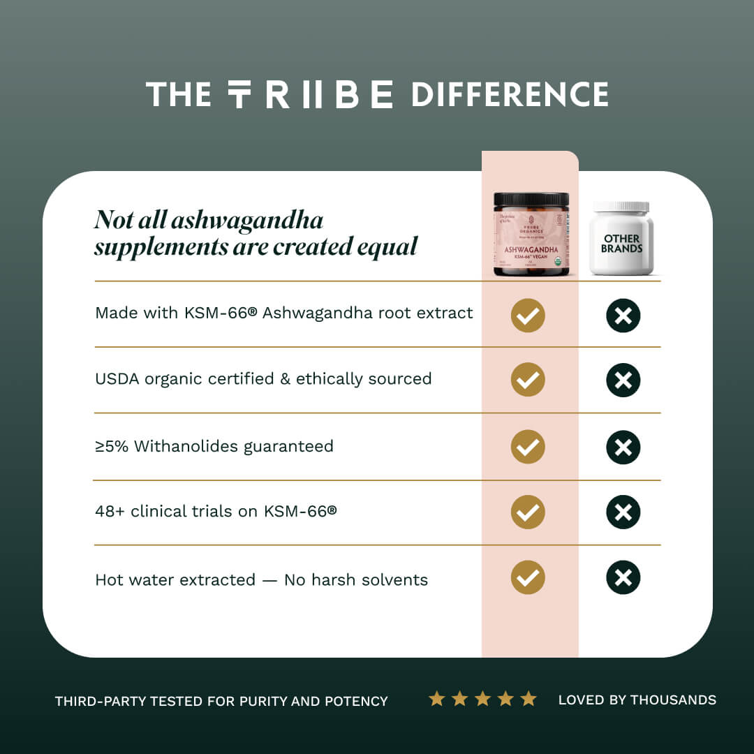 Ashwagandha KSM-66 Vegan - TRIBE ORGANICS