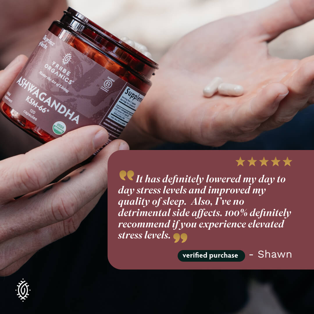 Ashwagandha KSM-66 90 1-Pack 25 - TRIBE ORGANICS