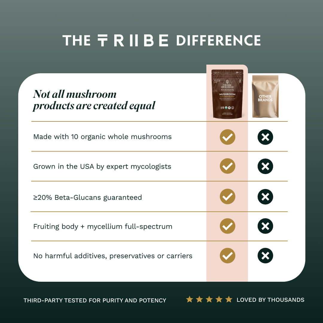 Mushroom Golden Blend Powder 1-Pack 25 - TRIBE ORGANICS