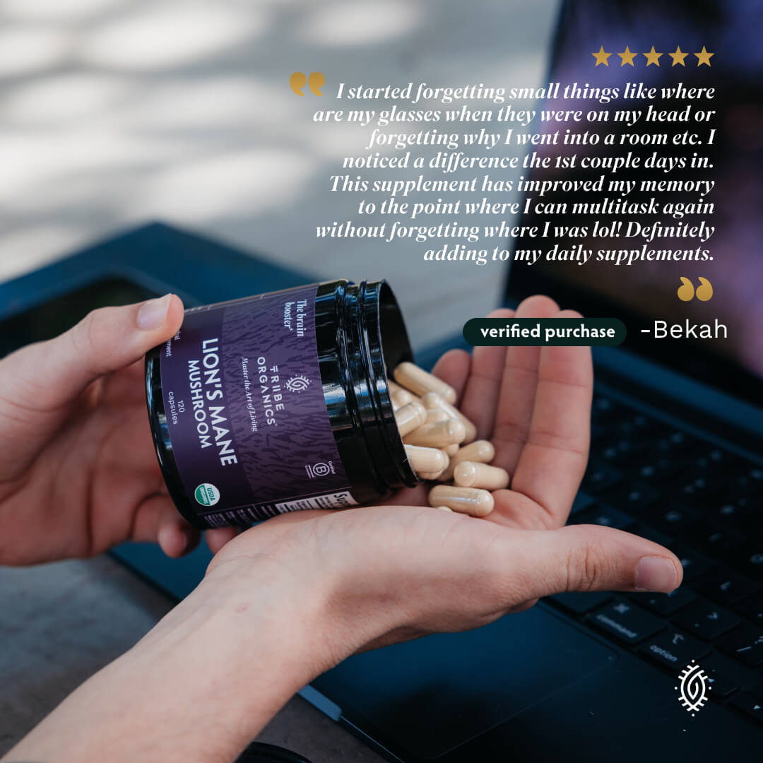 Organic Lion's Mane Mushroom Capsules - TRIBE ORGANICS
