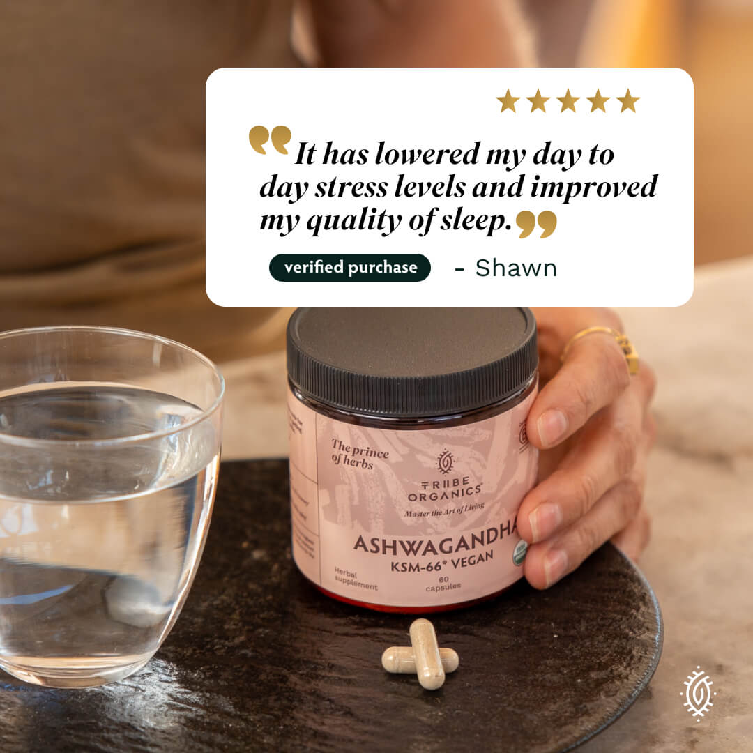 Ashwagandha KSM-66 Vegan - TRIBE ORGANICS