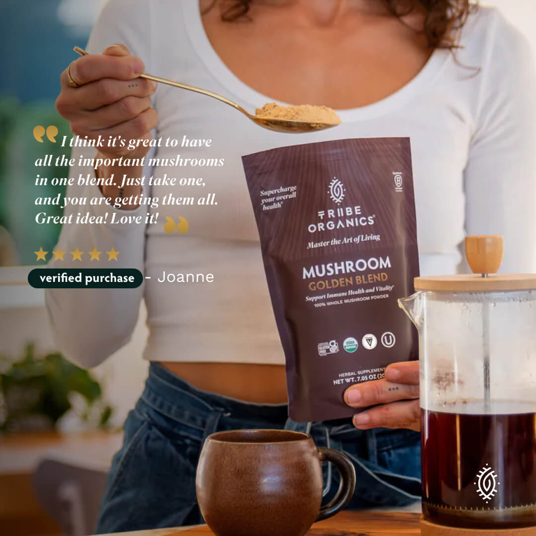 Mushroom Golden Blend Powder 1-Pack 25 - TRIBE ORGANICS