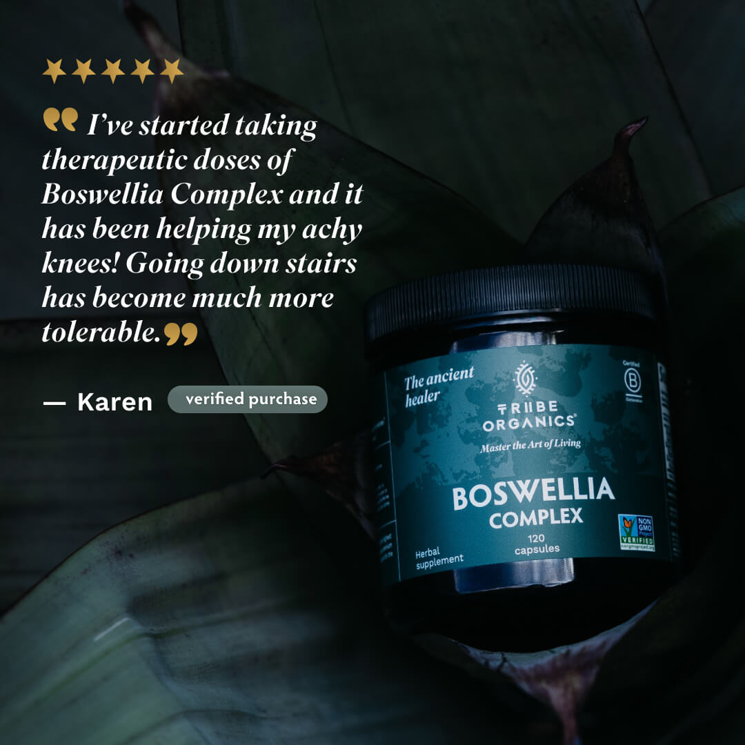 Boswellia Complex - TRIBE ORGANICS