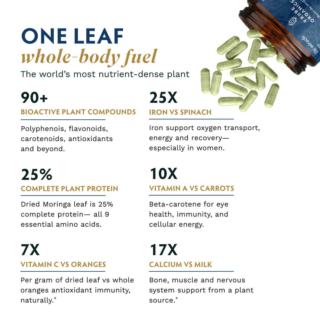 Organic Moringa Supplement Capsules - TRIBE ORGANICS