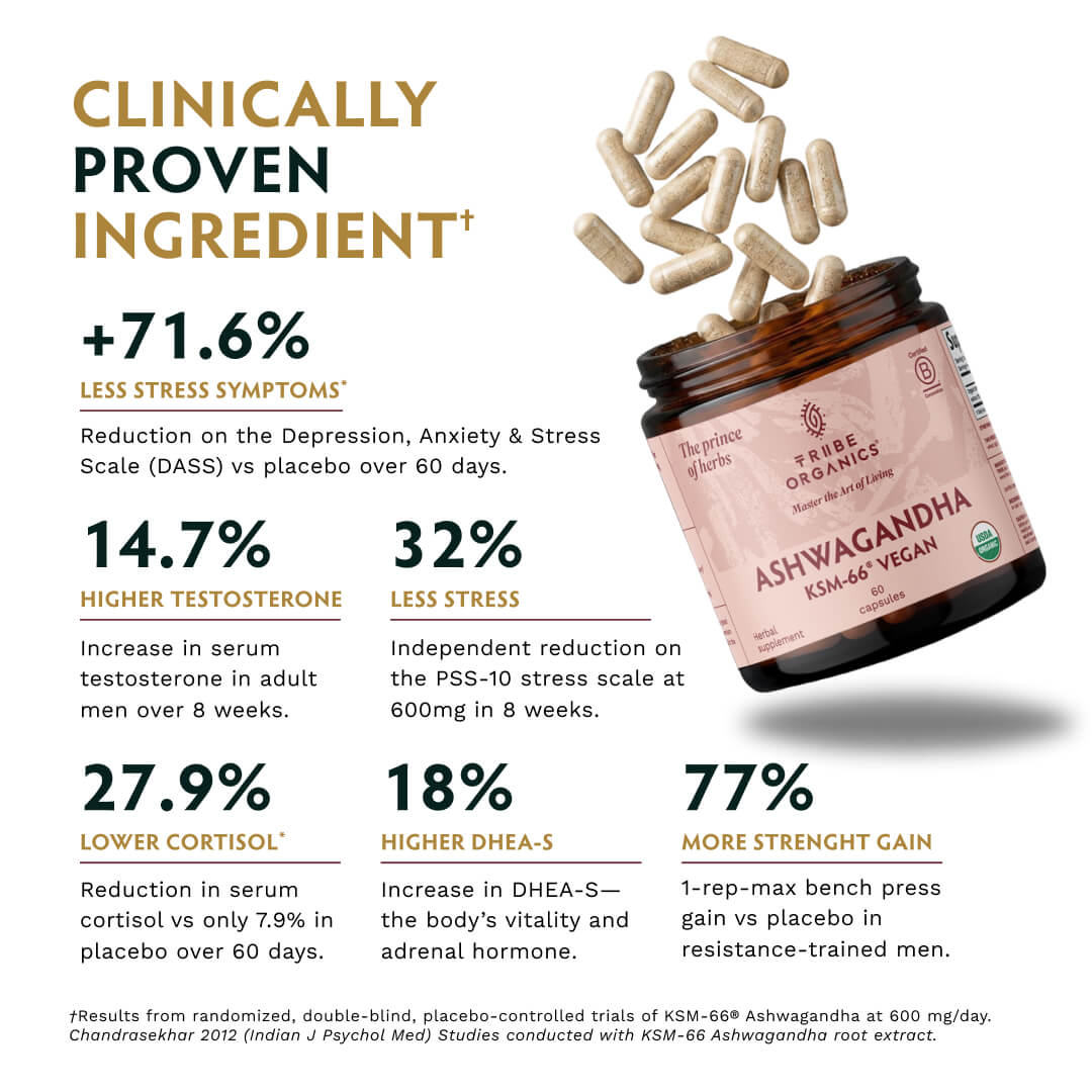 Ashwagandha KSM-66 Vegan - TRIBE ORGANICS