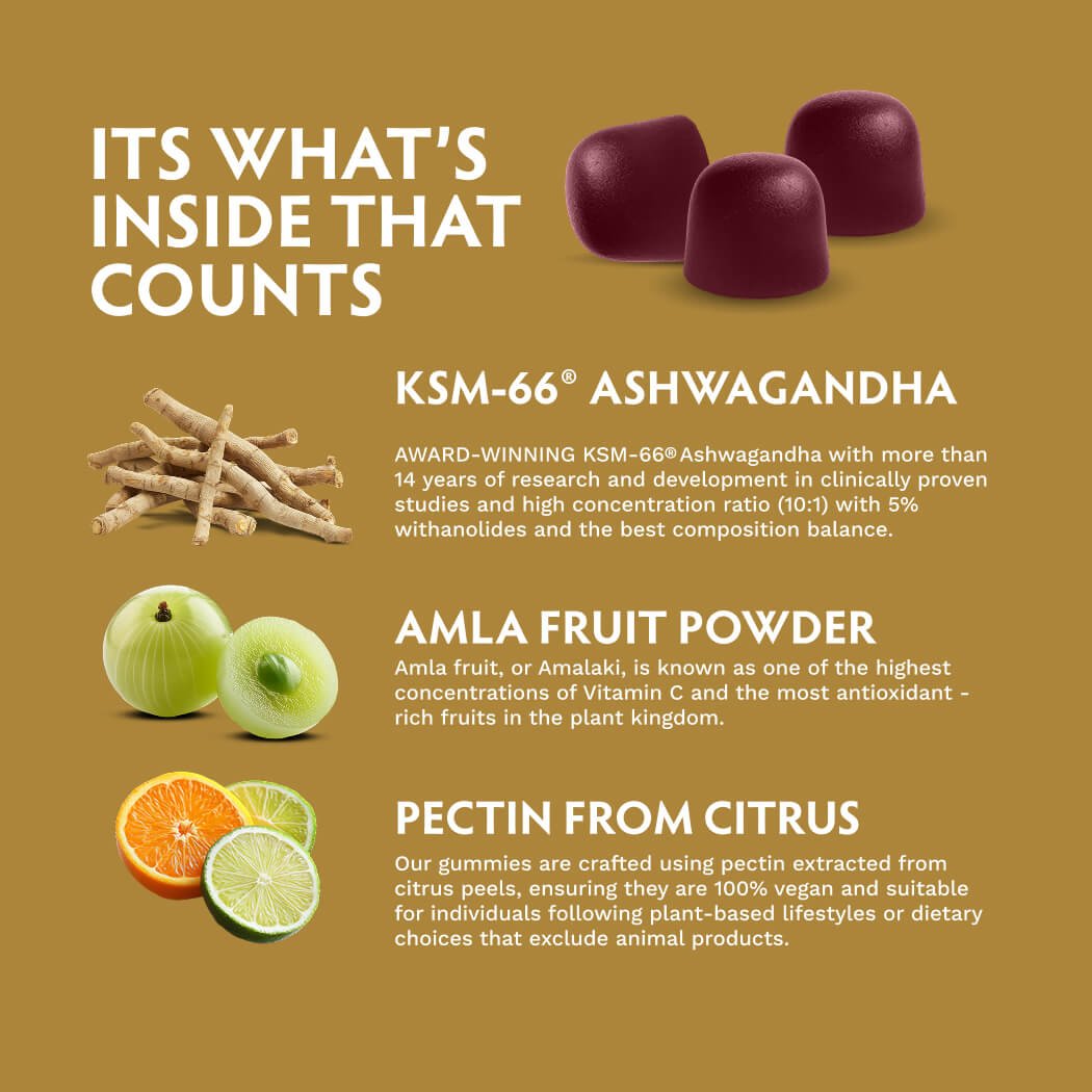 Ashwagandha Gummies | KSM-66 for Stress & Focus* | Tribe Organics - TRIBE ORGANICS
