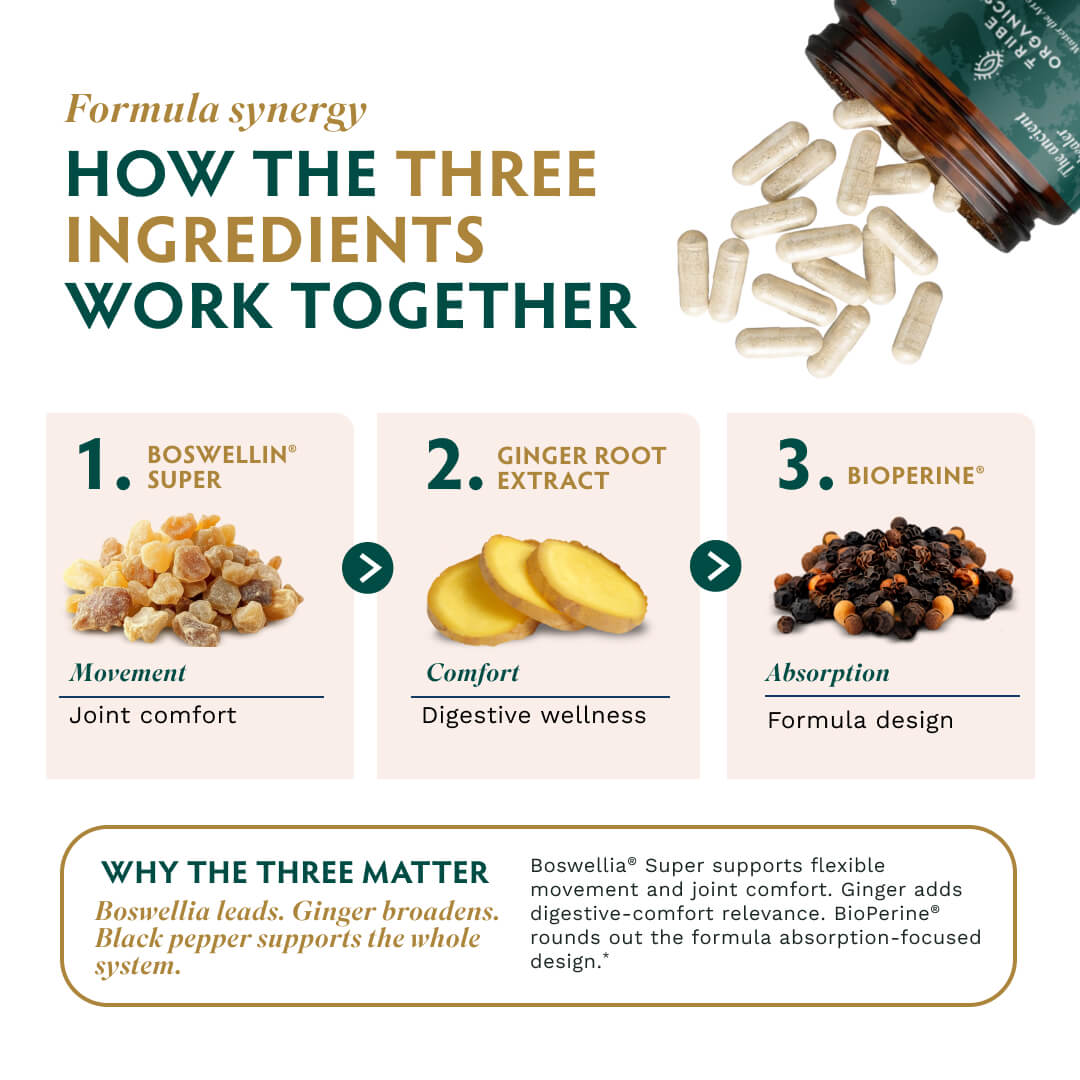 Boswellia Complex - TRIBE ORGANICS