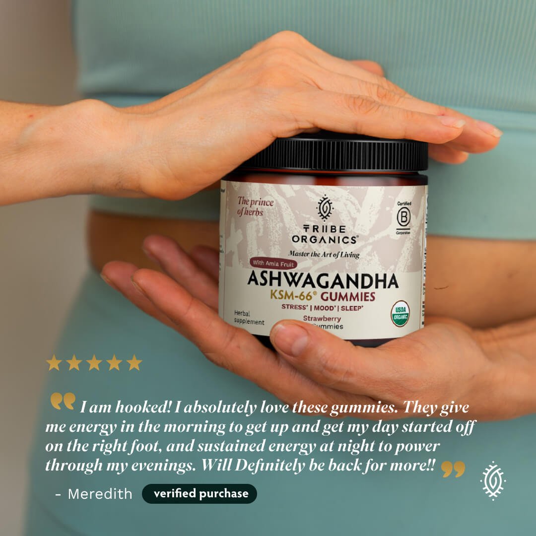 Ashwagandha Gummies | KSM-66 for Stress & Focus* | Tribe Organics - TRIBE ORGANICS