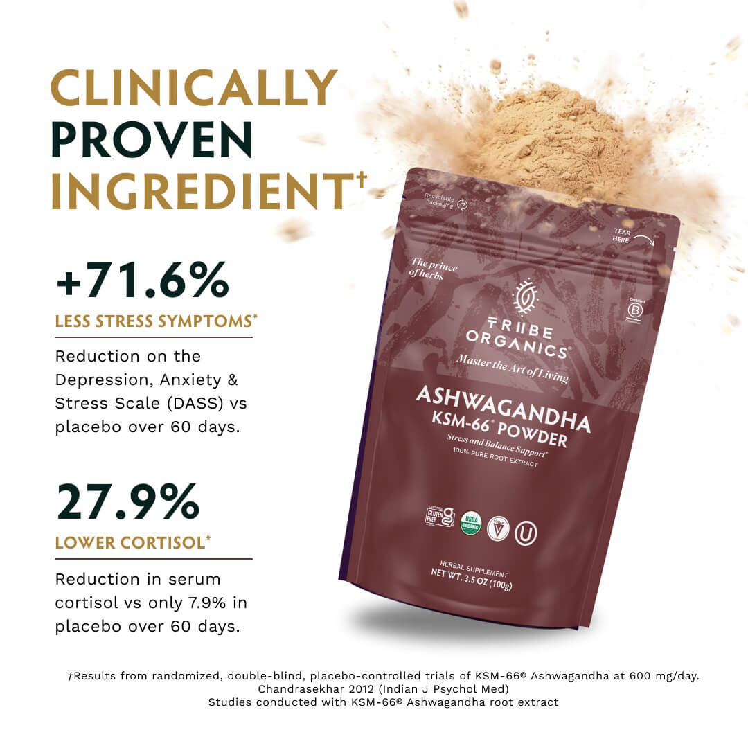 Ashwagandha KSM-66 Powder - TRIBE ORGANICS