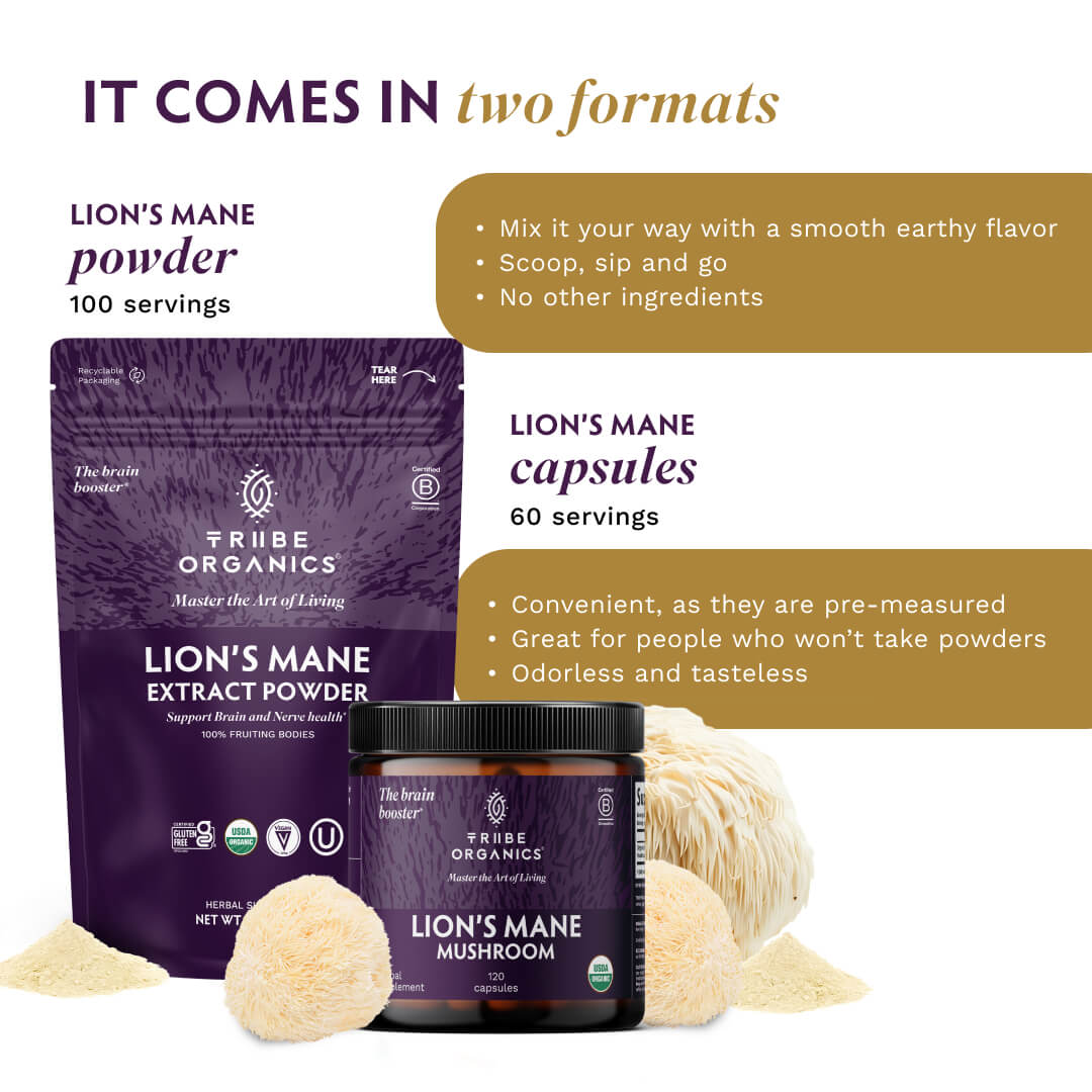 Lion's Mane Extract Powder - TRIBE ORGANICS