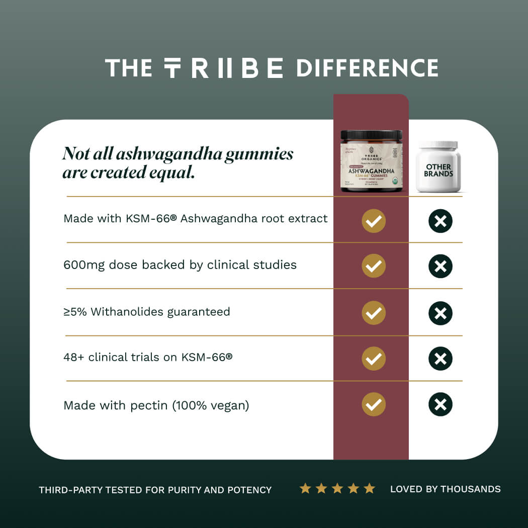 Ashwagandha Gummies | KSM-66 for Stress & Focus* | Tribe Organics - TRIBE ORGANICS
