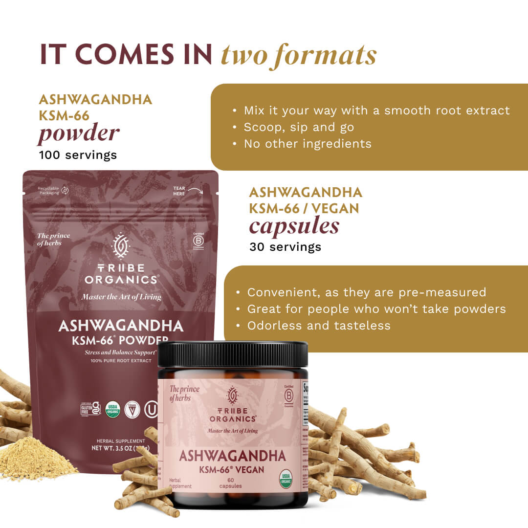 Ashwagandha KSM-66 Vegan - TRIBE ORGANICS