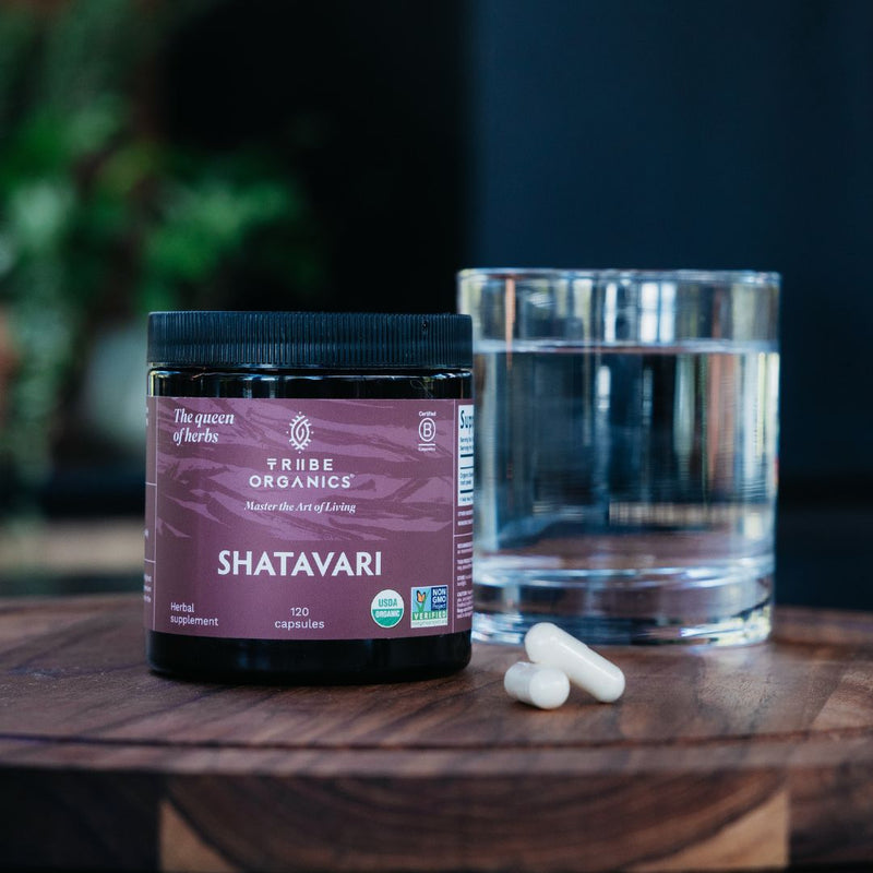 Organic Shatavari Root Powder Supplement | TRIBE ORGANICS