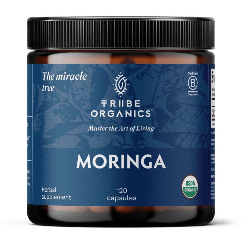 Organic Moringa Supplement Capsules - TRIBE ORGANICS