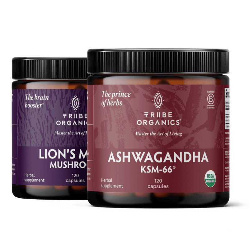 l-carnitine and alpha lipoic acid for weight loss Assessing the antioxidant and metabolic effect of an alpha-lipoic acid and  acetyl-L-carnitine nutraceutical