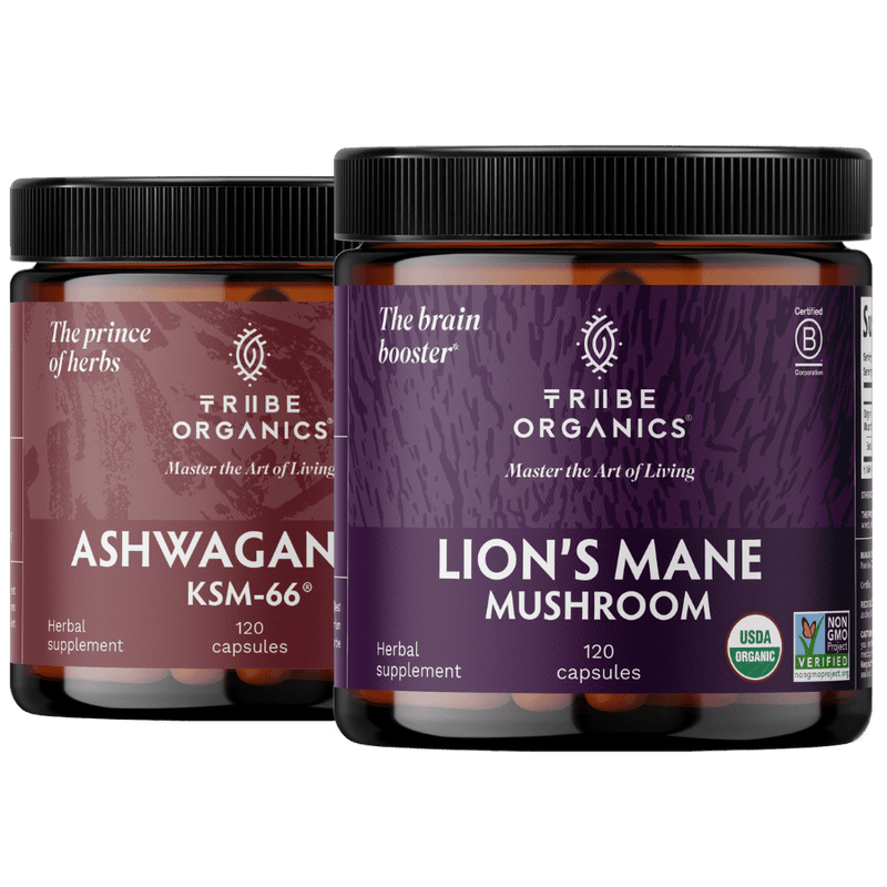 Nootropic Duo - TRIBE ORGANICS