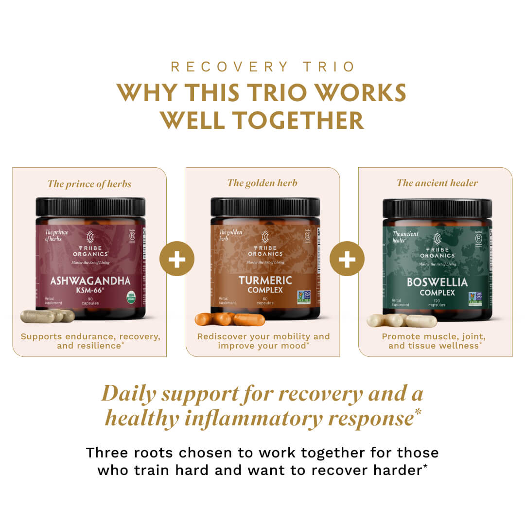 Recovery Trio - TRIBE ORGANICS