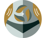 Detox & Metabolism - 1767861031