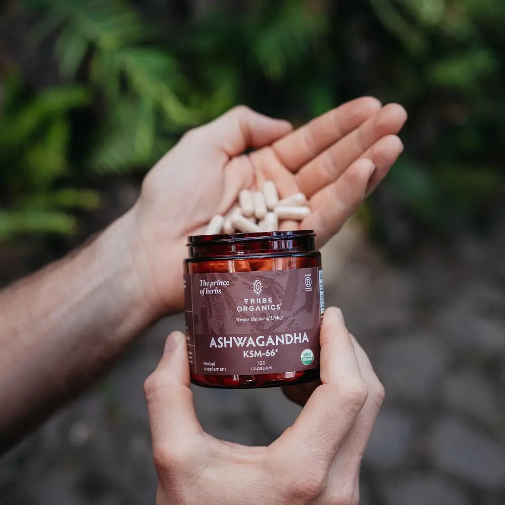 Ashwagandha KSM - 66 - TRIBE ORGANICS