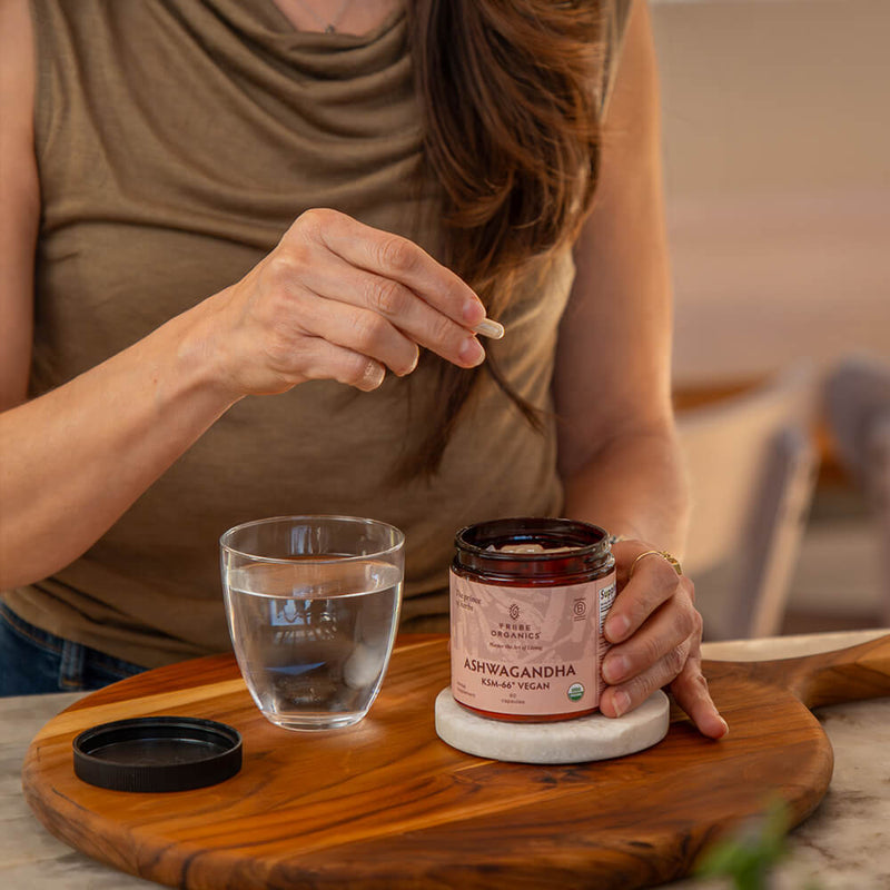 Ashwagandha KSM - 66 Vegan - TRIBE ORGANICS