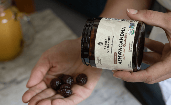 Exploring Ashwagandha Gummies Benefits