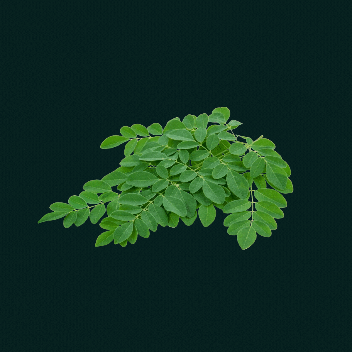 Boost Duo | TRIBE ORGANICS