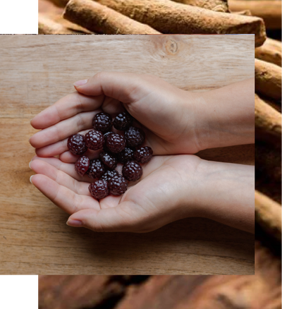 A close-up of hands cupped together, holding a pile of dark, berry-shaped gummies on a wooden background.