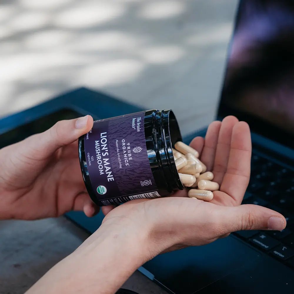 Organic Lion's Mane Mushroom Capsules - TRIBE ORGANICS