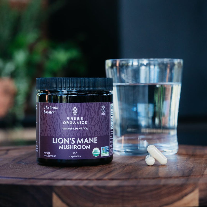 Organic Lion's Mane Mushroom Capsules | TRIIBE ORGANICS