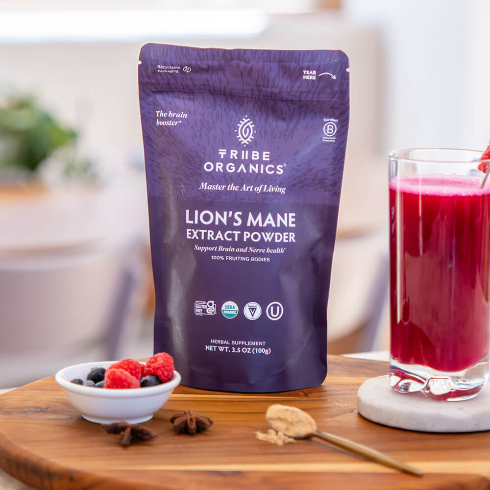Lion's Mane Extract Powder - TRIBE ORGANICS