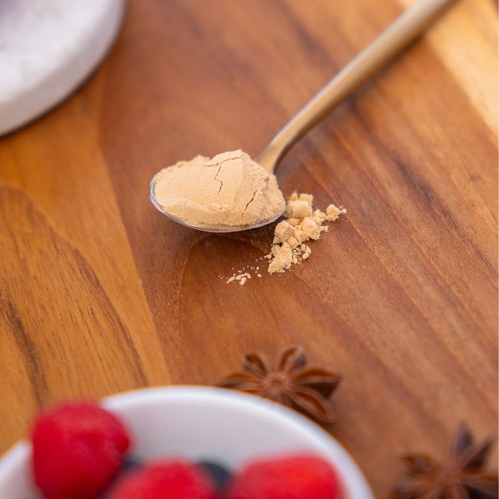 Lion's Mane Extract Powder - TRIBE ORGANICS