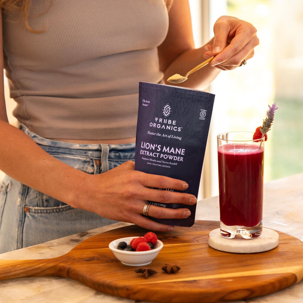 Lion's Mane Extract Powder - TRIBE ORGANICS