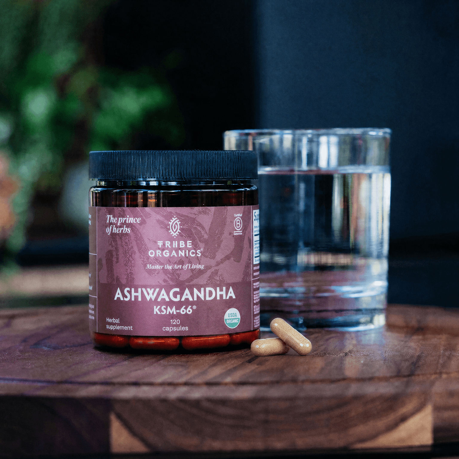 Ashwagandha KSM-66 90 1-Pack 25