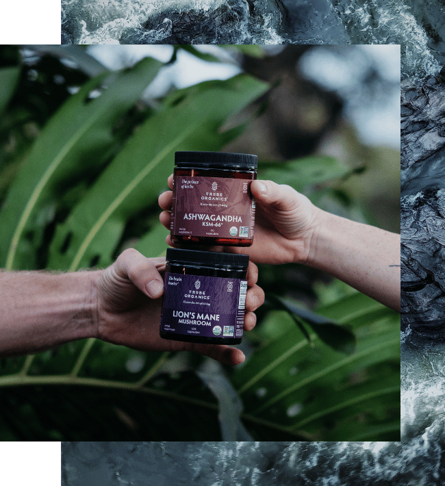 Transform Your Habits: Bundle Up & Save!