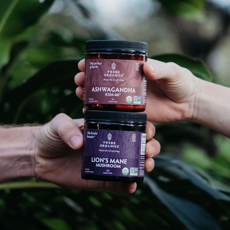 Nootropic Duo - TRIBE ORGANICS